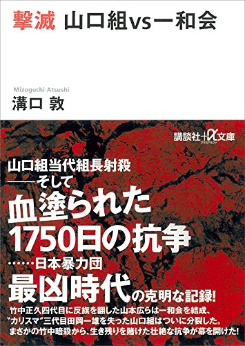 撃滅　山口組vs一和会 (講談社+α文庫)