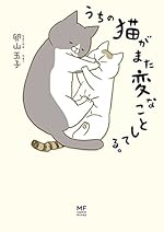 うちの猫がまた変なことしてる。