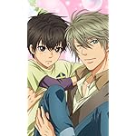 SUPER LOVERS FVGA(480×800)壁紙 海棠 零(かいどう れん),海棠 晴(かいどう はる) SUPER LOVERS FVGA(480×800)壁紙 海棠 零(かいどう れん),海棠 晴(かいどう はる)