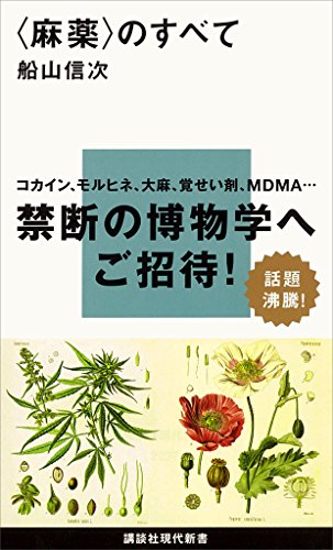 〈麻薬〉のすべて (講談社現代新書)