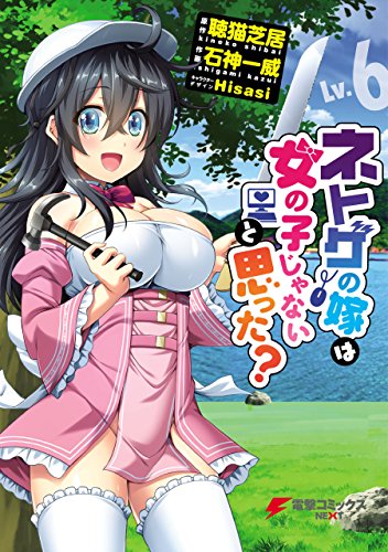 ネトゲの嫁は女の子じゃないと思った？ 6巻 表紙