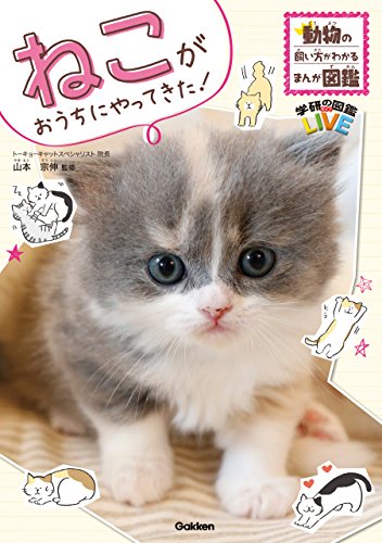 ねこがおうちにやってきた! (動物の飼い方がわかるまんが図鑑)