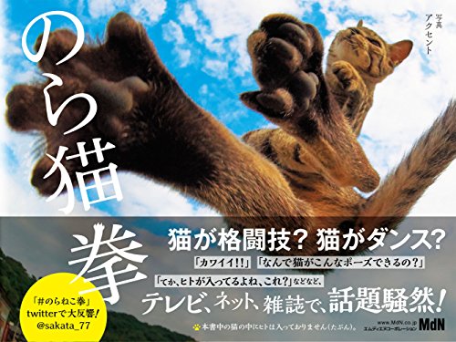 のら猫拳 / ninja cats