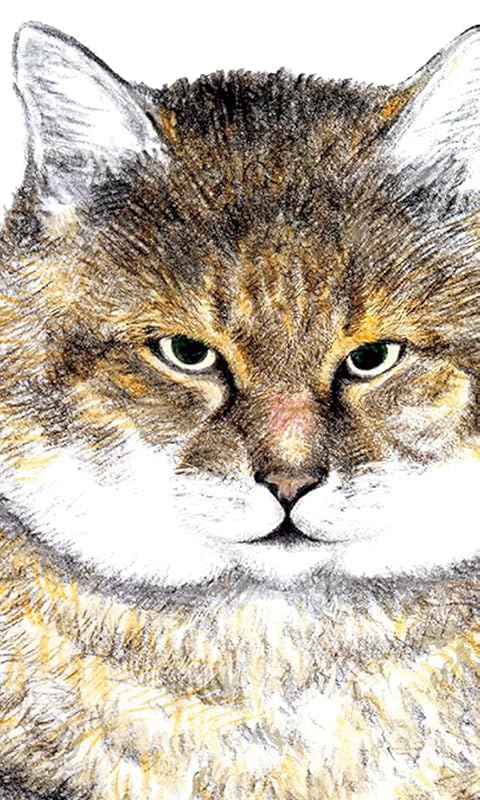 2021夏アニメ - つしま