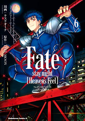 fate/stay night [heaven's feel](6) (角川コミックス・エース)