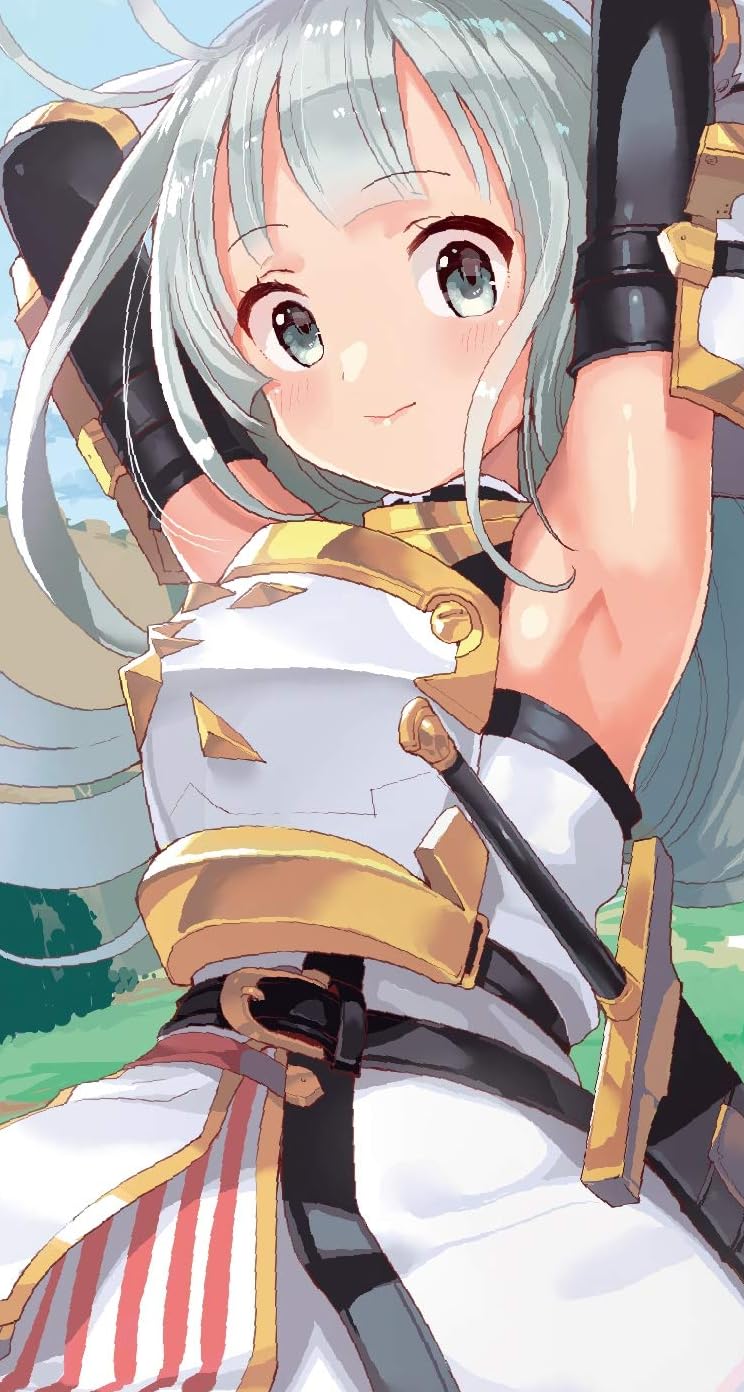 アニメ化決定作品 - ノール