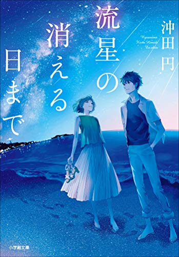 流星の消える日まで (小学館文庫キャラブン!)