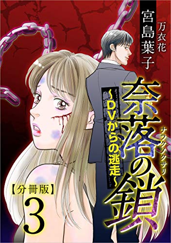 奈落の鎖~dvからの逃走~ 分冊版 3話 (the mar)