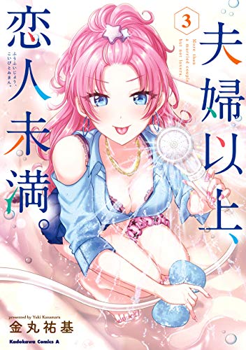 夫婦以上、恋人未満。　(3) (角川コミックス・エース)