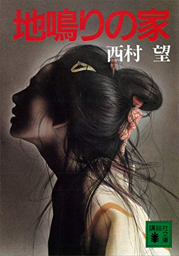 地鳴りの家 (講談社文庫)