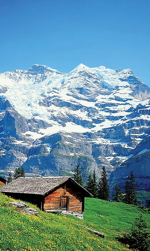 Audibleのおすすめはアニメ化作品の小説やラノベ - ハイジ 