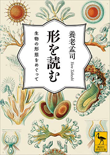 形を読む　生物の形態をめぐって (講談社学術文庫)