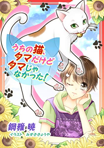 うちの猫、タマだけどタマじゃなかった! (ペリドット文庫)