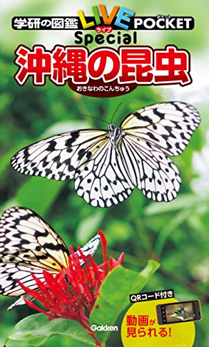 沖縄の昆虫 (学研の図鑑liveポケットspecial)