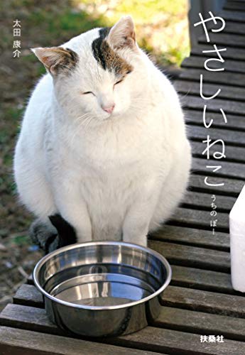 やさしいねこ　うちの ぽー (扶桑社books文庫)