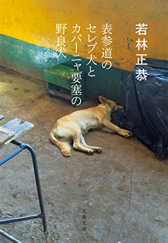 表参道のセレブ犬とカバーニャ要塞の野良犬 (文春文庫)