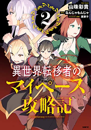 異世界転移者のマイペース攻略記 2巻 表紙