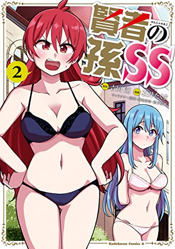 賢者の孫ss　(2) (角川コミックス・エース)