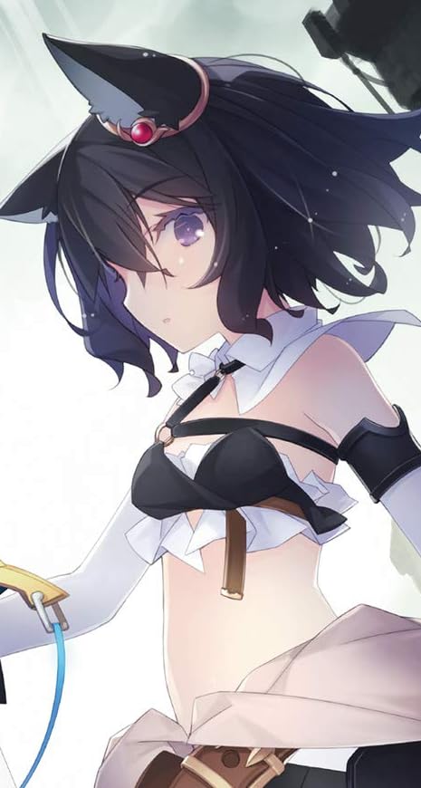 アニメ化決定作品 - フラン