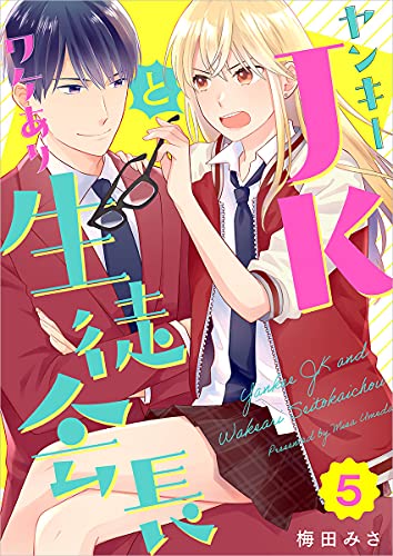ヤンキーjkとワケあり生徒会長 分冊版 5話 (ティアード)