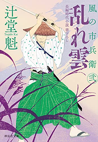 乱れ雲 風の市兵衛 弐[28] (祥伝社文庫)