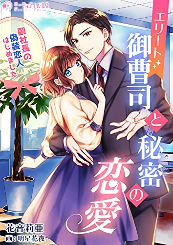 エリート御曹司と秘密の恋愛~副社長の偽装恋人はじめました~ (ミーティアノベルス)