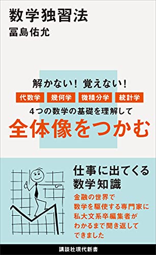 数学独習法 (講談社現代新書)