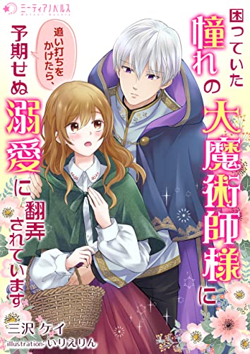 困っていた憧れの大魔術師様に追い打ちをかけたら、予期せぬ溺愛に翻弄されています (ミーティアノベルス)