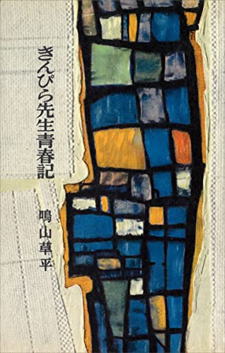 きんぴら先生青春記 (romanbooks)