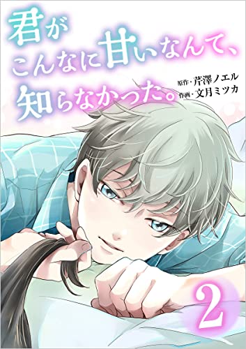 君がこんなに甘いなんて、知らなかった。 2巻 (ティアード)