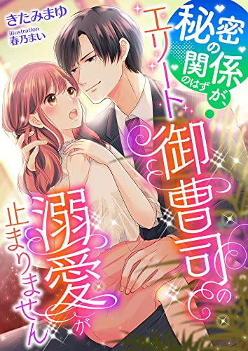 秘密の関係のはずが、エリート御曹司の溺愛が止まりません (こはく文庫)