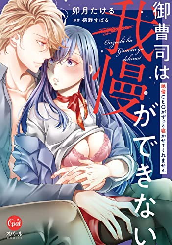 御曹司は我慢ができない　絶倫ceoがずっと寝かせてくれません【単行本版】【電子限定ペーパー付】 (オパールcomics)