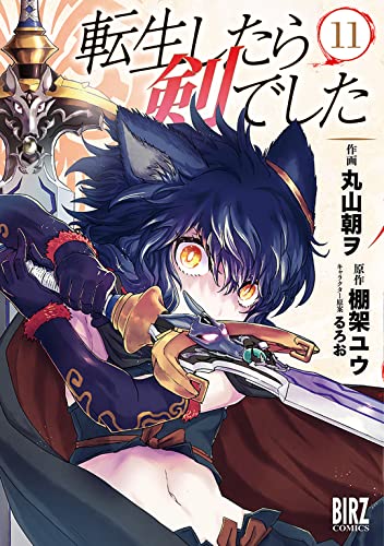 転生したら剣でした 11巻 表紙
