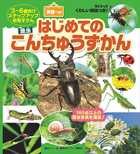 bcキッズ　くわしい解説つき!　はじめての　こんちゅうずかん　英語つき