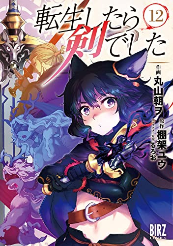 転生したら剣でした 12巻 表紙