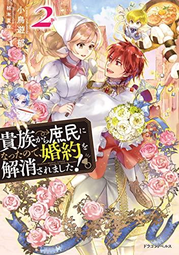 貴族から庶民になったので、婚約を解消されました!2 (ドラゴンノベルス)