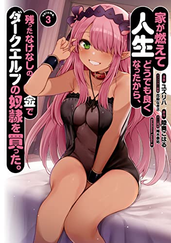 家が燃えて人生どうでも良くなったから、残ったなけなしの金でダークエルフの奴隷を買った。　(3) (角川コミックス・エース)