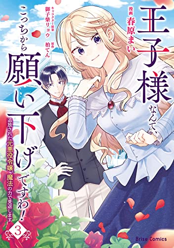 王子様なんて、こっちから願い下げですわ！〜追放された元悪役令嬢、魔法の力で見返します〜 3巻 表紙