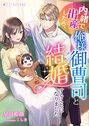 内緒で出産したら、俺様御曹司と結婚することになりました (ミーティアノベルス)
