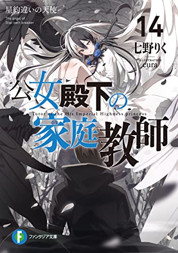 公女殿下の家庭教師14　星約違いの天使 (富士見ファンタジア文庫)