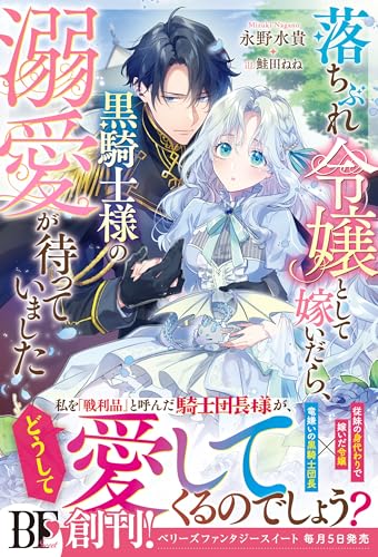 落ちぶれ令嬢として嫁いだら、黒騎士様の溺愛が待っていました【電子限定ss付き】 (ベリーズファンタジー)