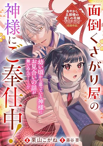 面倒くさがり屋の神様にご奉仕中! (zero-sumコミックス)