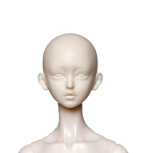 EVE DOLL & WEI [Aurora] 1/6スケール 樹脂製 ドールヘッド