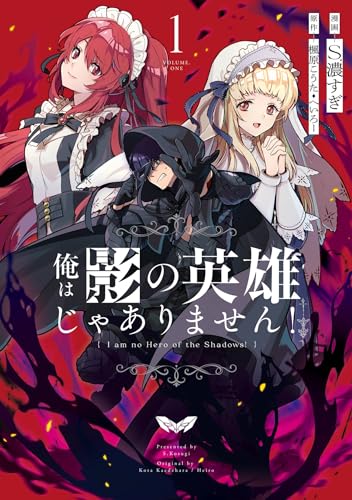 俺は影の英雄じゃありません！ 1巻 表紙