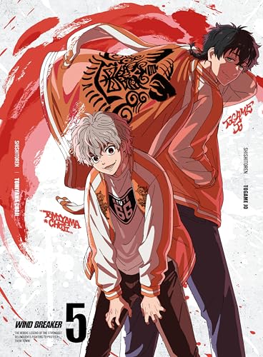 WIND BREAKER 5(完全生産限定版) [DVD]