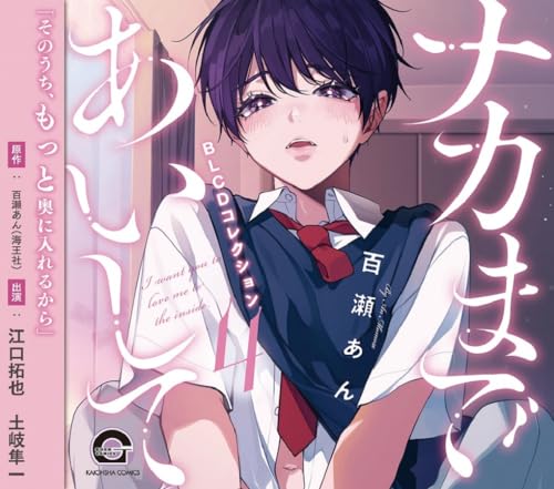 BLCDコレクション「ナカまであいして4」