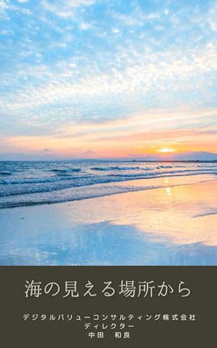 海の見える場所から (デジタルバリューコンサルティング株式会社)