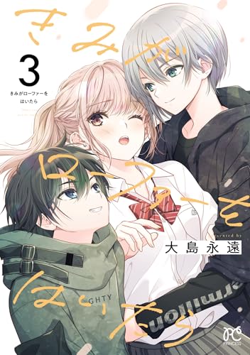 きみがローファーをはいたら【電子特別版】　3 (プリンセス・コミックス)