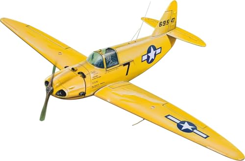 フライ 1/72 アメリカ カルヴァー PQ-14 カデット 陸軍航空軍ターゲットドローン プラモデル FLX72061