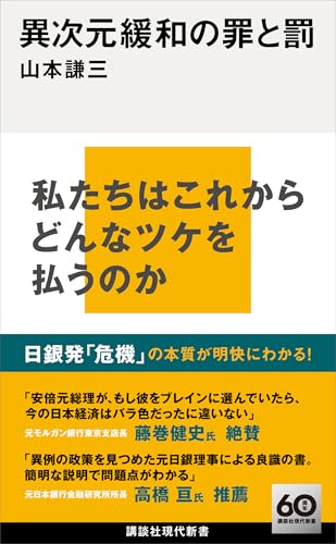 異次元緩和の罪と罰 (講談社現代新書)